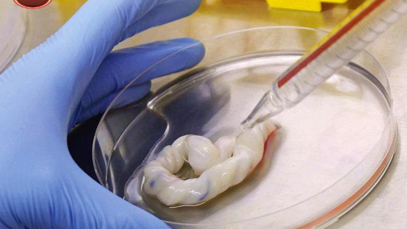 1640248687_untitled-design