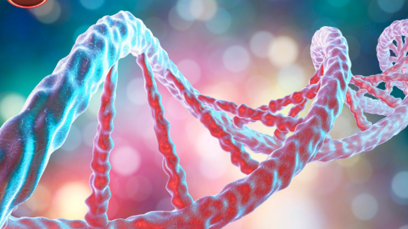 1640675294_dna-tu-do-trong-huyet-tuong (1)