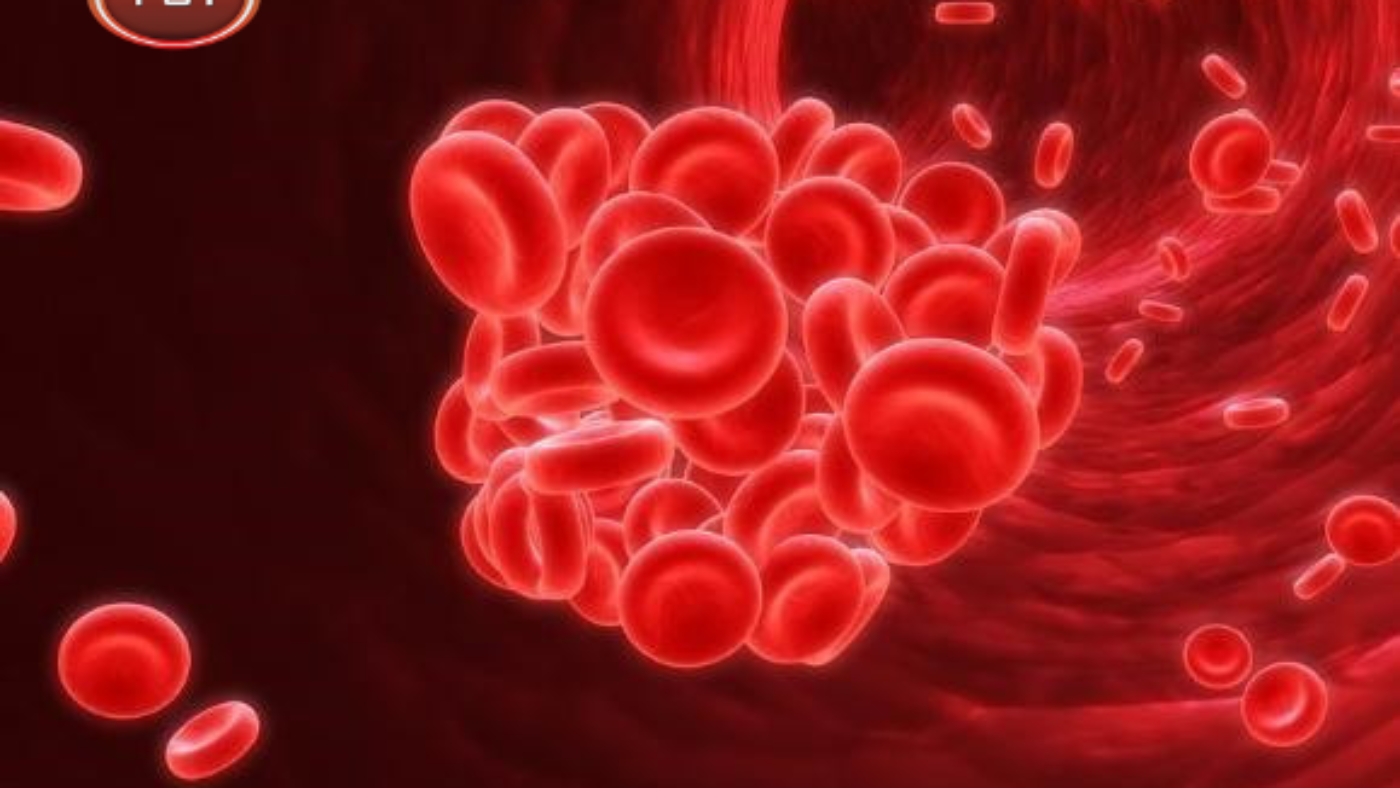 1640686214_untitled-design-1