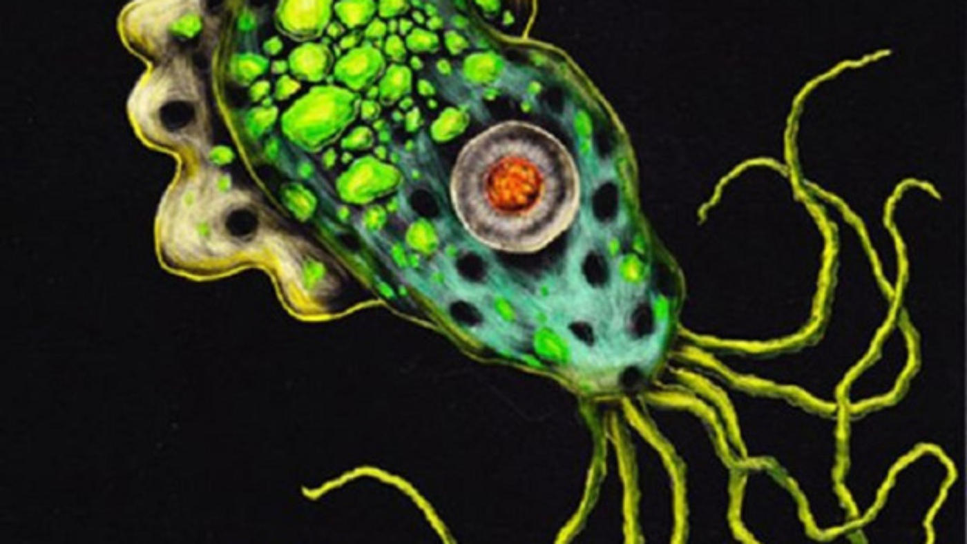 1640762829_untitled-design-2