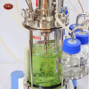 Thiết bị lên men Bioneer