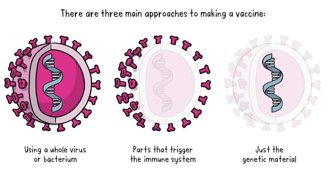 Các loại vắc xin cơ bản
